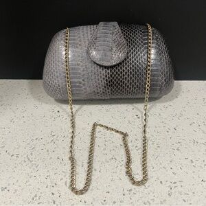 Vintage AUTHENTIC Snake Skin with Gold Chain | Magnetic Clasp | Inside Pocket